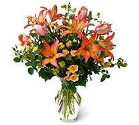 Envio y venta de flores ,rosas, plantas,arreglos florales ,regalos y desayunos a domicilio con delivery gratis en la Ciudad Autonoma de Buenos Aires y con costo de envo en localidades del Gran Buenos Aires asi como delivery de flores y plantas a travs de florerias asociadas en todas las provincias de la Argentina, Buenos Aires, la Pampa, Tucuman, La Rioja, Ro Negro, Entre Rios, Corrientes, Misiones, Neuquen, Chubut, Tierra del Fuego, Santa Cruz, San Luis, Mendoza, Cordoba, Jujuy, Formosa, Santiago del Estero, Salta, Chaco, Catamarca ,San Juan, y ademas realizamos el delivery de flores ,coronas,palmas , plantas y regalos a todas las ciudades de Argentina, Mar del Plata, Crdoba, Buenos Aires, con cargo en Santa Rosa, La Plata, Bella Vista, Neuquen, Pilar, Paran, Posadas, Resistencia, Cipolleti y mas de 300 ciudades y localidades en todo el territorio de nuestro pas, asi como tambien tenemos la posibilidad de enviar flores a casi todo el mundo en cuestion de horas